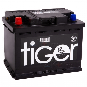 Tiger 60L 480A 242x175x190