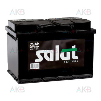 Salut 75L 700A (278x175x190)