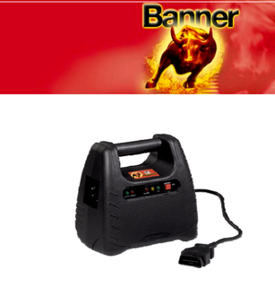 Авто ИБП Banner Memory Server OBD