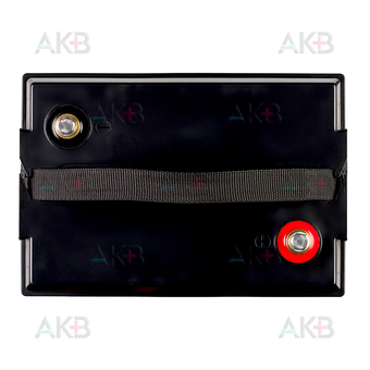 Аккумуляторная батарея Тяговый аккумулятор UniPLUS LDC6-224-GC2 6V 224 Ач (261x182x290) Deep Cycle AGM. Фото 1