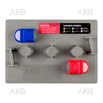 Аккумуляторная батарея UniPLUS DT106 6V 225 Ач (261x182x290) GOLF CAR BATTERY. Фото 1