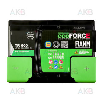 Автомобильный аккумулятор Fiamm Ecoforce AFB 60 Ач 600A обр. пол. (242x175x190) EFB Start-Stop TR600. Фото 2