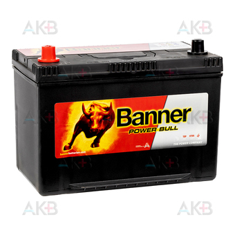 BANNER Power Bull ASIA (95 05) 95L 740A 303x173x225